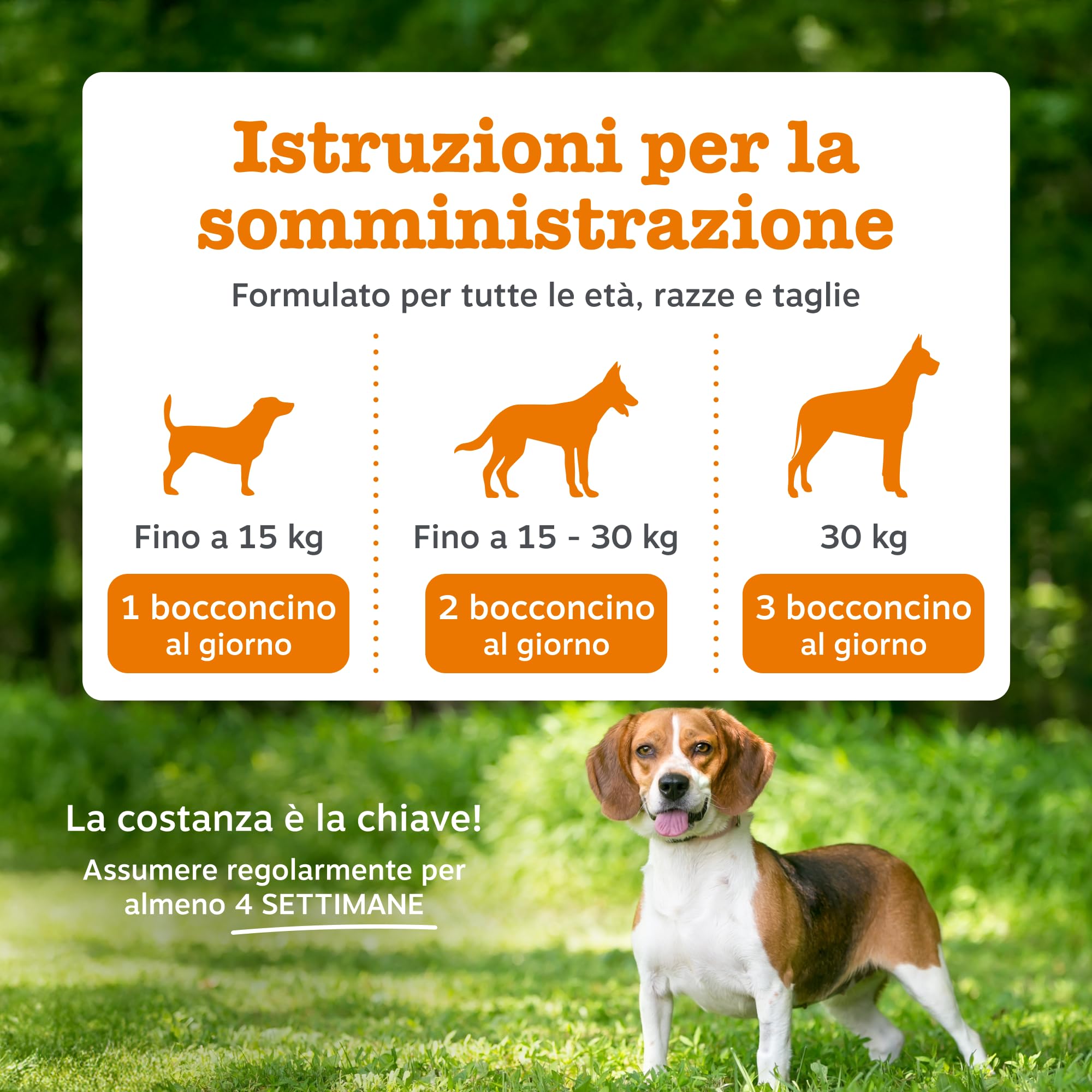 Zesty Paws Cranberry Urinary Care | Supporto delle Vie Urinarie | Integratori per Cani | D-mannosio, vitamina B6 e Exocyan | Alimento Complementare per Cani Adulti | Gusto Tacchino | 90 Pezzi