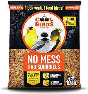 Semilla de pájaro caliente sin desorden de ardillas tristes – 10 libras mezcla picante sin cáscara con cacahuetes, corazones de girasol y aceite de chile – Sin residuos, resistente a las