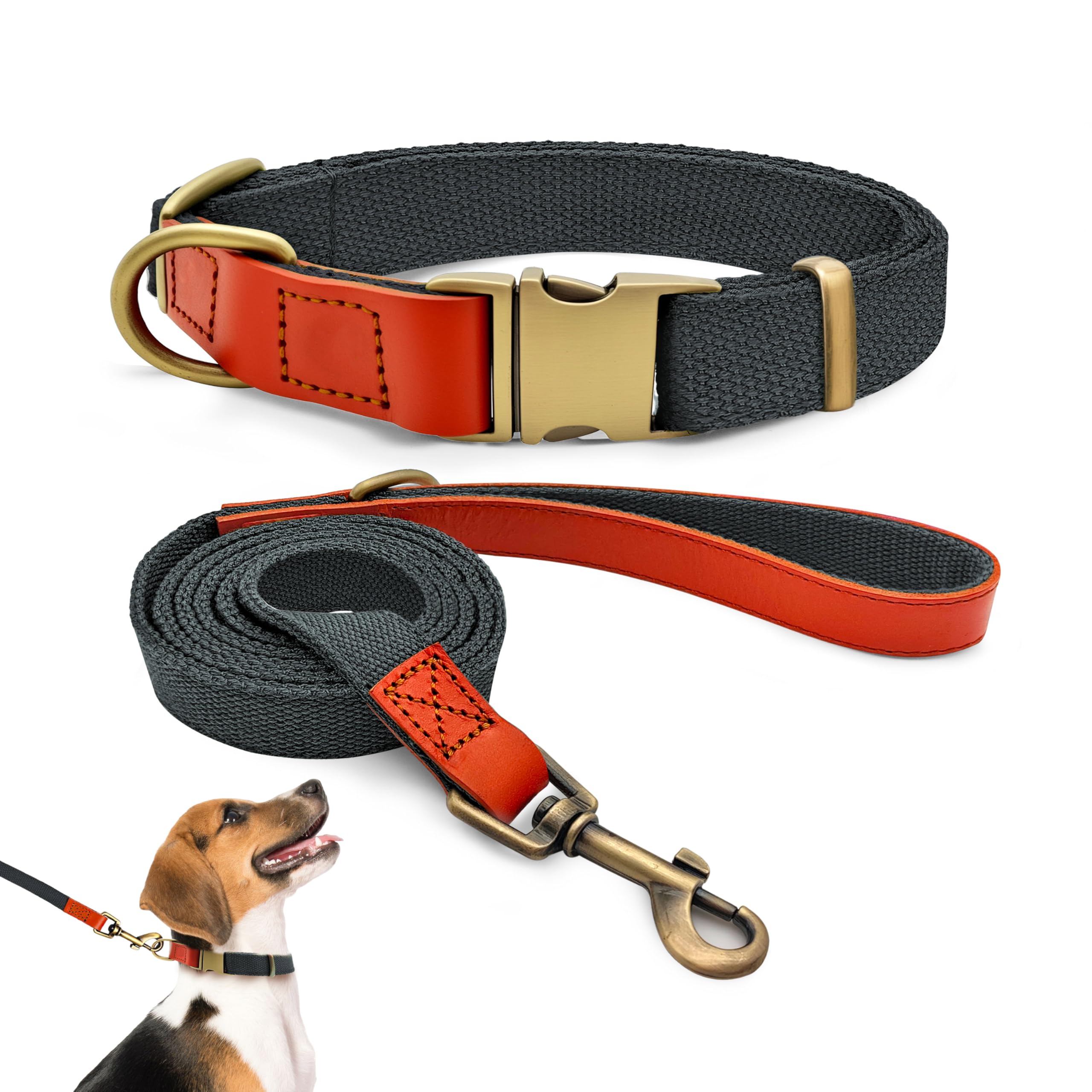 Collier tactique pour chien en nylon durable QRDA réglable et sûr