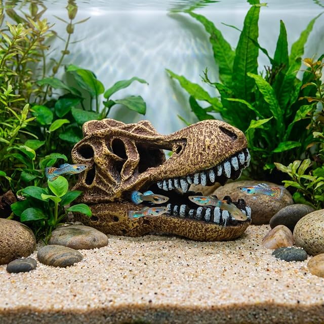Foto 4 de 5 de Amtra A8011755 Cráneo de T-Rex