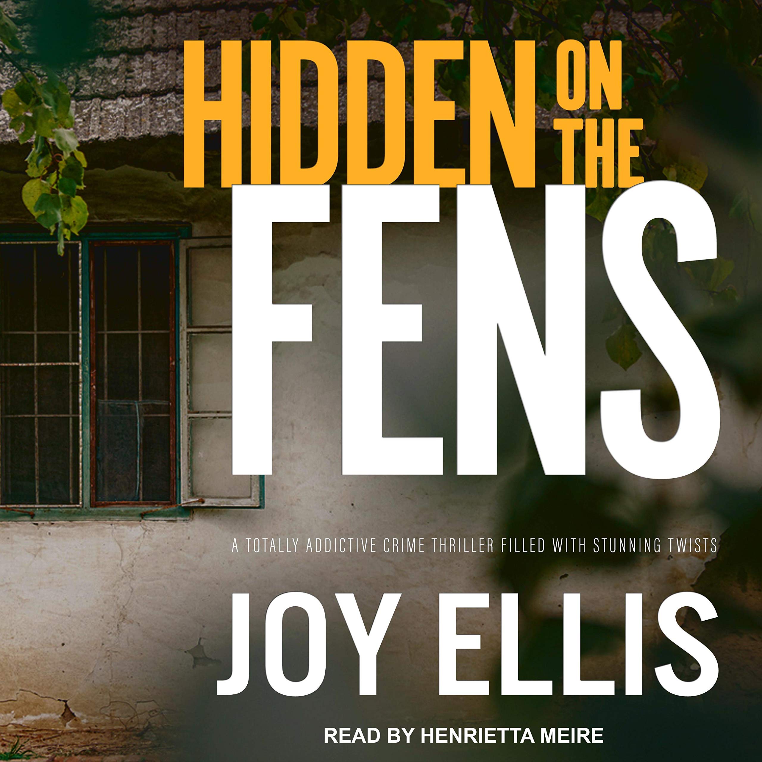 Hidden on the Fens: DI Nikki Galena Series 11