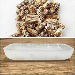 Spawn and Wax Combo - Oyster Mushrooms Mushroom Mycelium Plug Spawn - 100 Count Plugs - 3oz Wax Grow Edible Gourmet & Medicinal Oyster Fungi On Trees & Logs