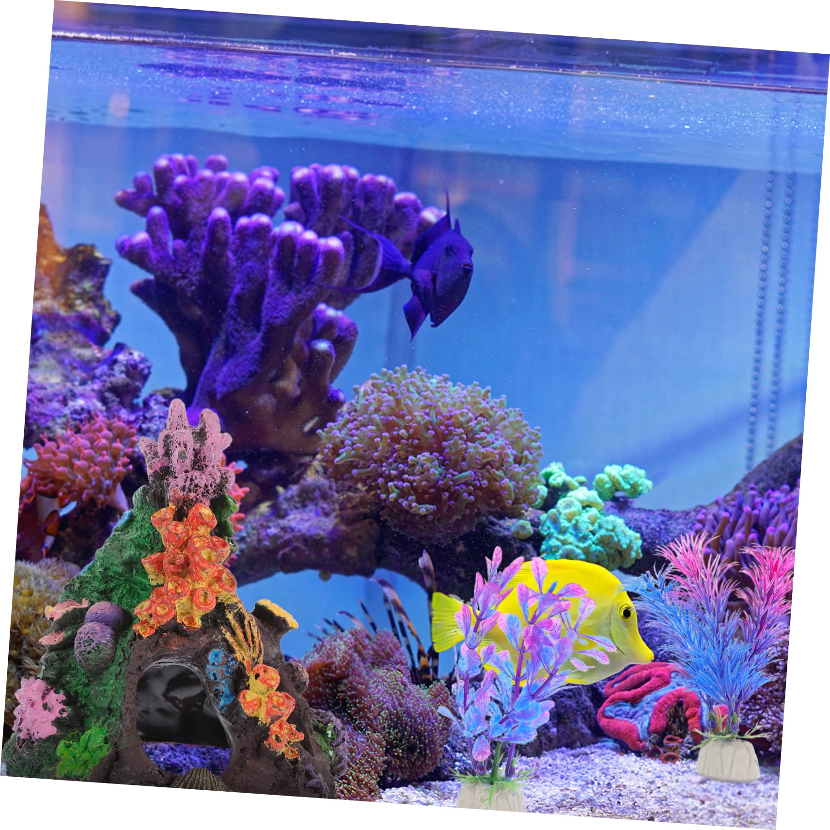 POPETPOP 4 Juegos Acuario Plantas Acuaticas Decoracion Adornos Pecera Decoración De Coral De Imitación Decoraciones De Peceras Planta Artificial Casera El Plastico 5 Piezas * 4