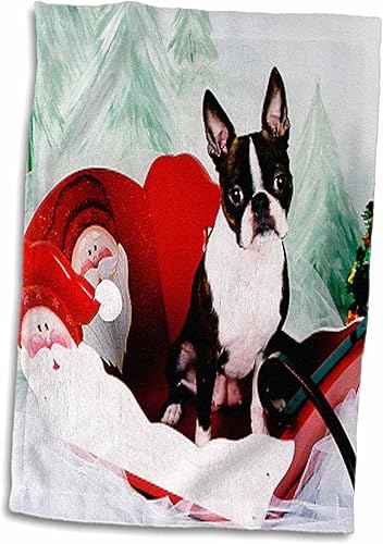 Miniatura 3 de 3dRose Dogs Boston TerrierMollyBoston TerrierToalla