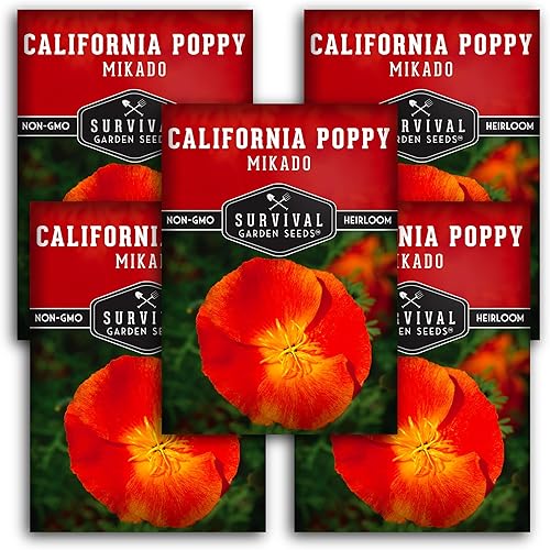Paquete de 5 semillas de amapola Mikado California para plantar, paquete con instrucciones para cultivar amapolas rojas en tu huerto casero,