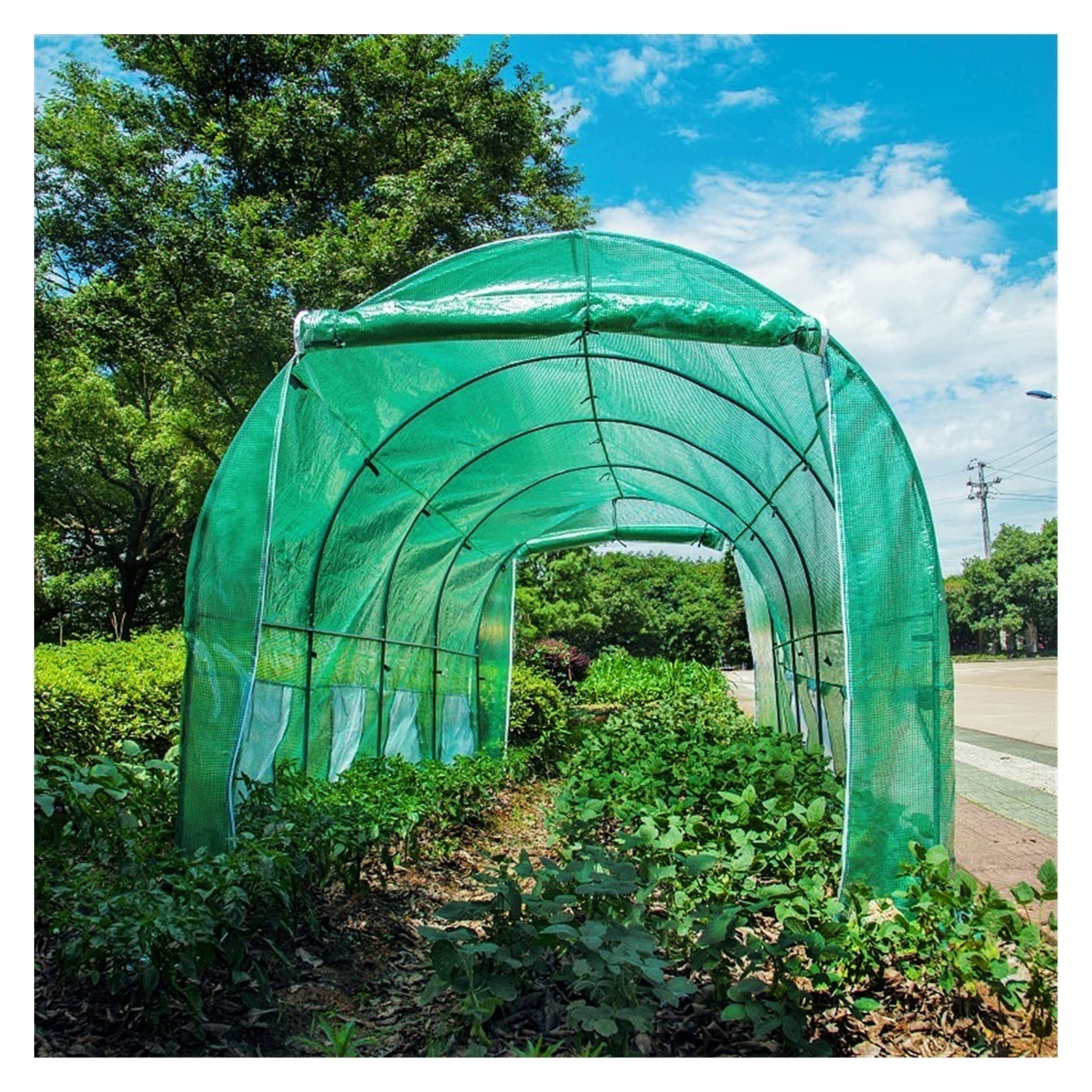Serra da Giardino Tunnel Di grandi dimensioni Case verdi per Esterno Robusto, Polytunnel Serre con robusto telaio in acciaio, All'aperto Giardinaggio Pomodoro vegetale casa calda, 3m/2m di lunghezza