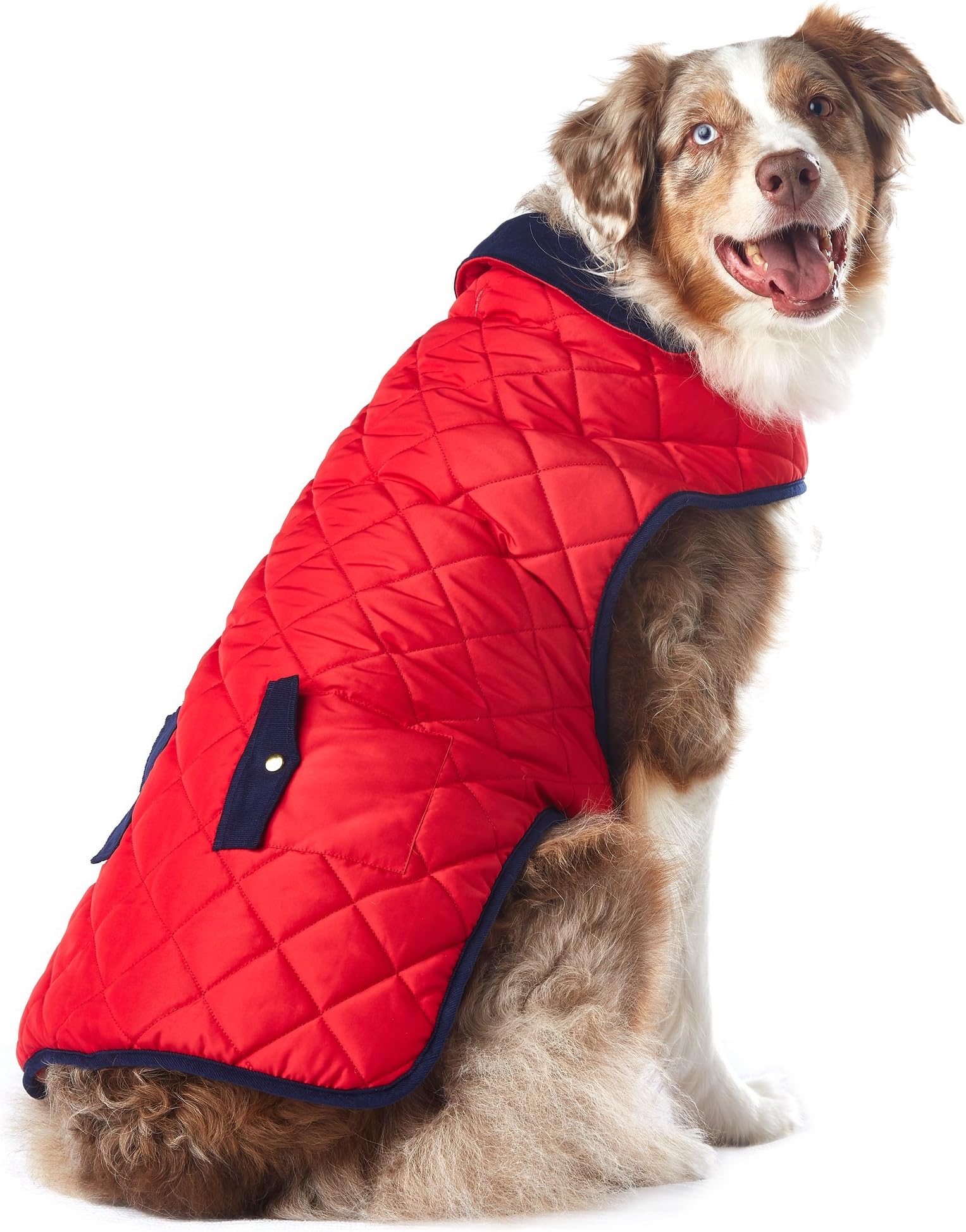 Pup Crew Red with Navy Trim Quilted Pocket Jacket, Large