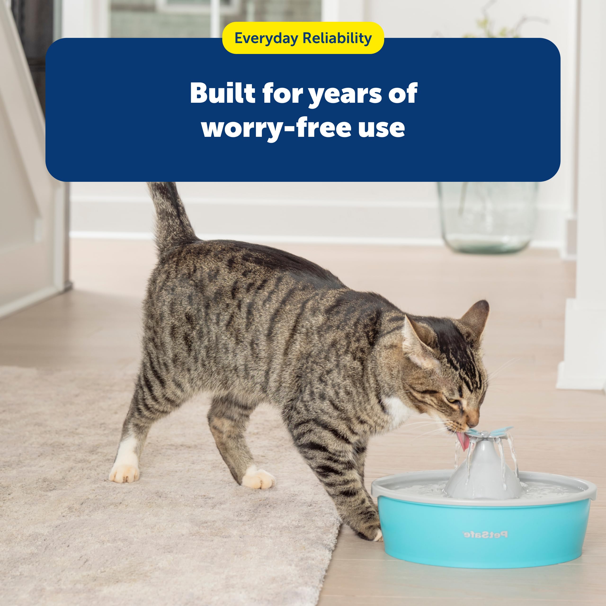 PetSafe Fuente de Agua para Gatos Mariposa con Bomba y filtros, Bonito dispensador de Agua con Capacidad de 50 onzas, Bomba y filtros Mantienen el Agua Limpia y Fresca, el Filtro Contiene 2 Veces más