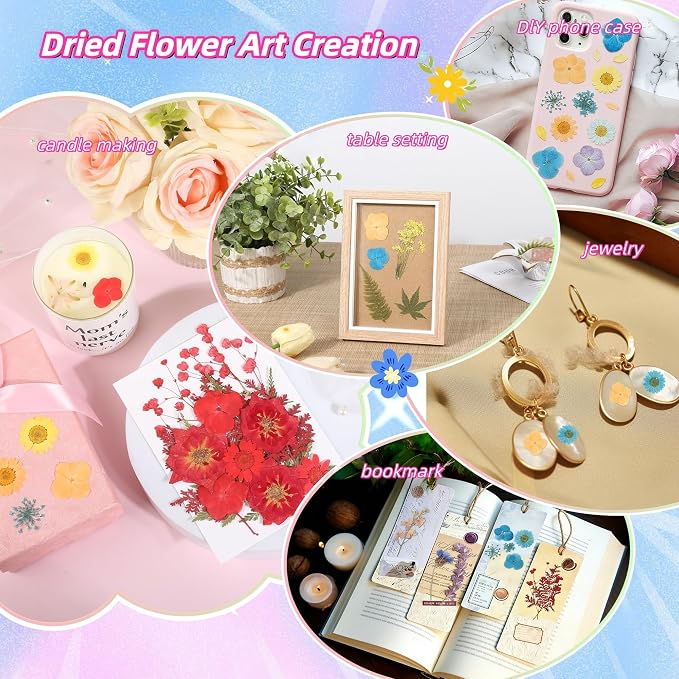 4 Packs Flores Secas Prensadas para Manualidades miniatura 6