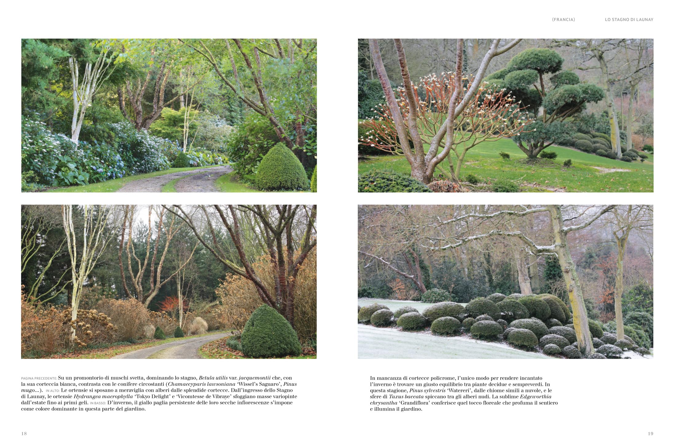 Giardini d'inverno. Una stagione reinventata