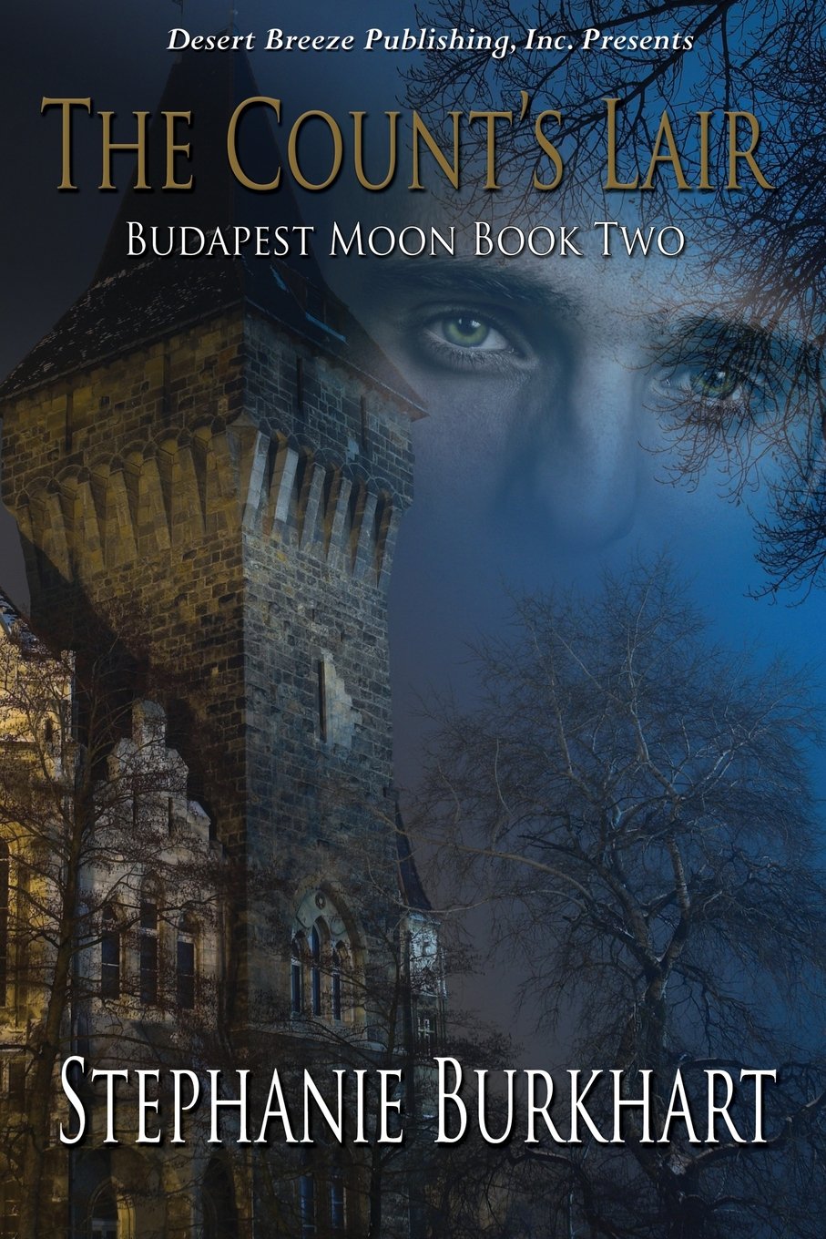 Budapest Moon Book Two: The Count's Lair

Amazon.Com Rank: N/A

Click here to learn more or buy it now!