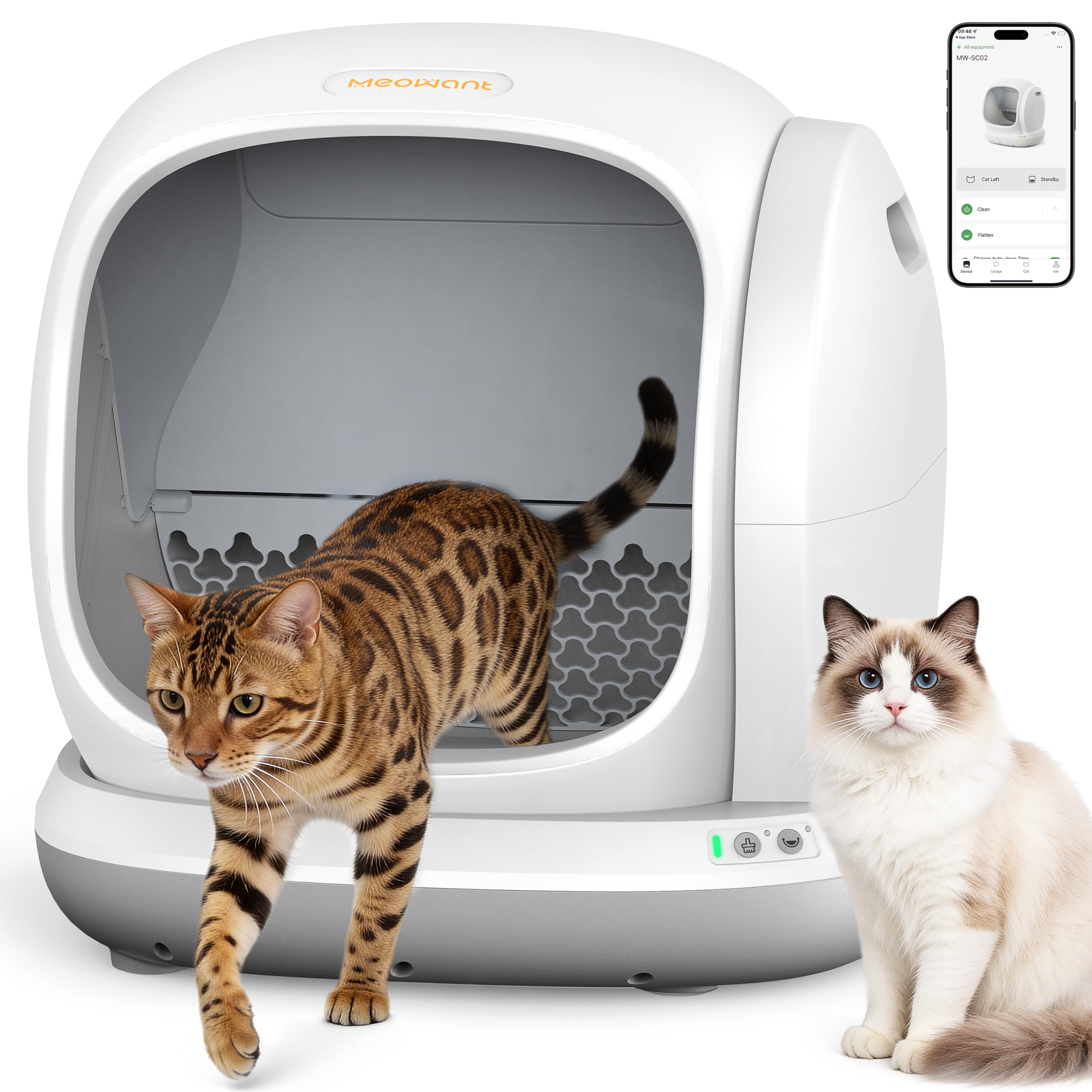 Meowant Self Cleaning Cat Litter Box - Open-Top Automatic Litter Box with APP, 0 Risk of Stuck Cats, Safer Automatic Litter Boxs, Low Entrance for Multiple Cats