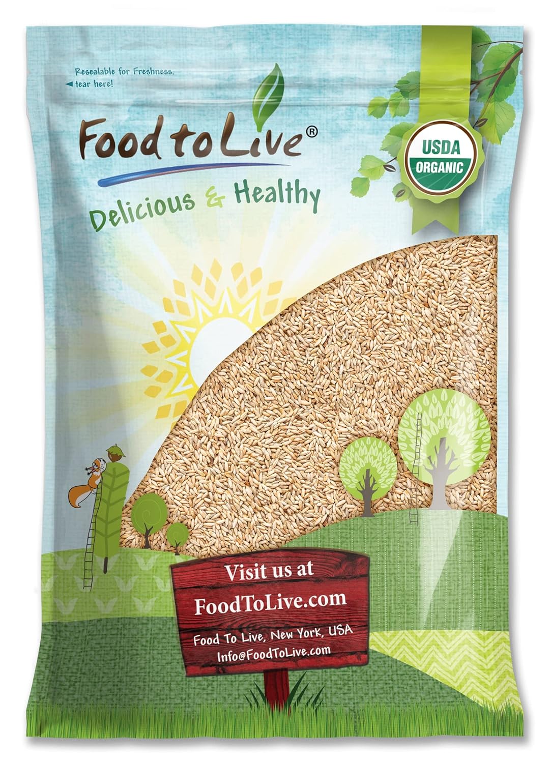 Food to Live Organic Rye Berries, 10 Pounds – Non-GMO, Kosher, Raw, Bulk Seeds, Product of the USA
