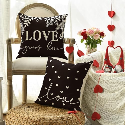 Miniatura 3 de AVOIN colorlife Juego de 4 fundas de almohada de amor en blanco y negro para el día de San Valentín, 16 x 16 pulgadas, diseño de Hello Valentine a