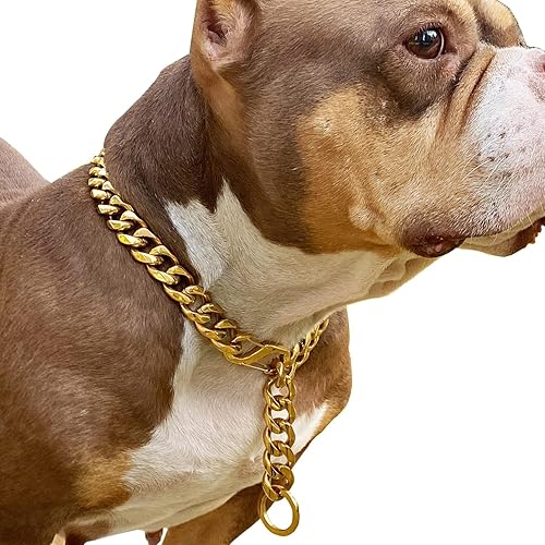 Collar de titanio ajustable de acero inoxidable de 0.748in, chapado en oro para perro, collar de entrenamiento para caminar, de metal a prueba de
