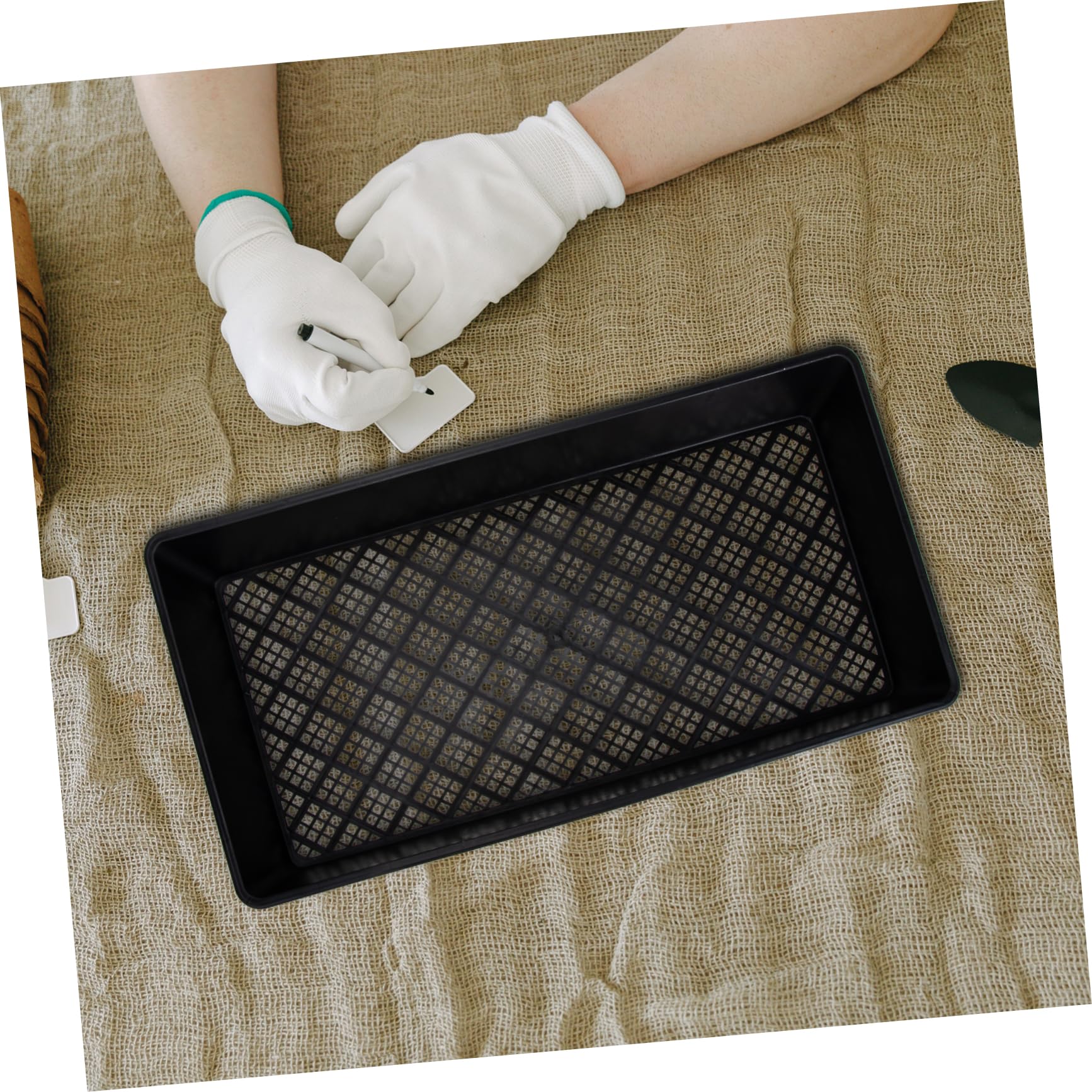 TOYANDONA 6pièces Lot de Plateaux de Semis Multi Germination des Germes Pratiques pour Jardinage et Culture