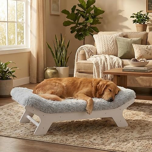 Muihood Elevated Dog Bed Wooden Frame and Mattress — shown in a real home setting for scale