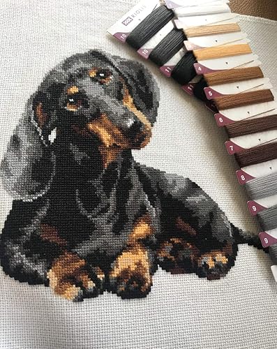 Vista 2 de RIOLIS - Perro salchicha 906, kits de punto de cruz para perros de 9,84 x 9,84 pulgadas, kits de punto de cruz contado, kits de punto de cruz