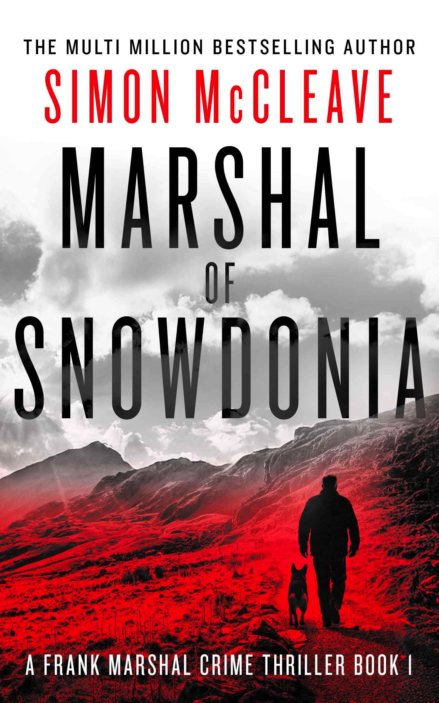 Marshal of Snowdonia: A Frank Marshal Crime Thriller