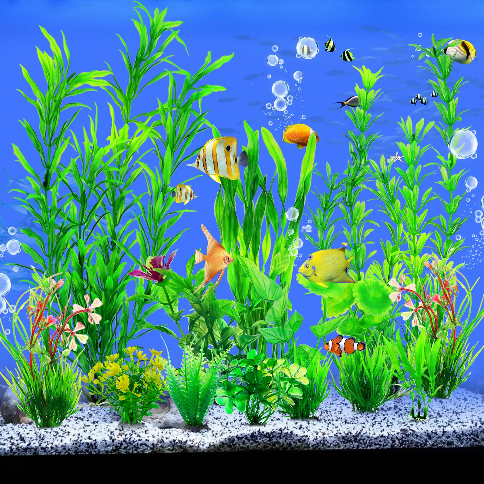 Aquarium Plants - 12 Green Decorations for Fish Tanks -4