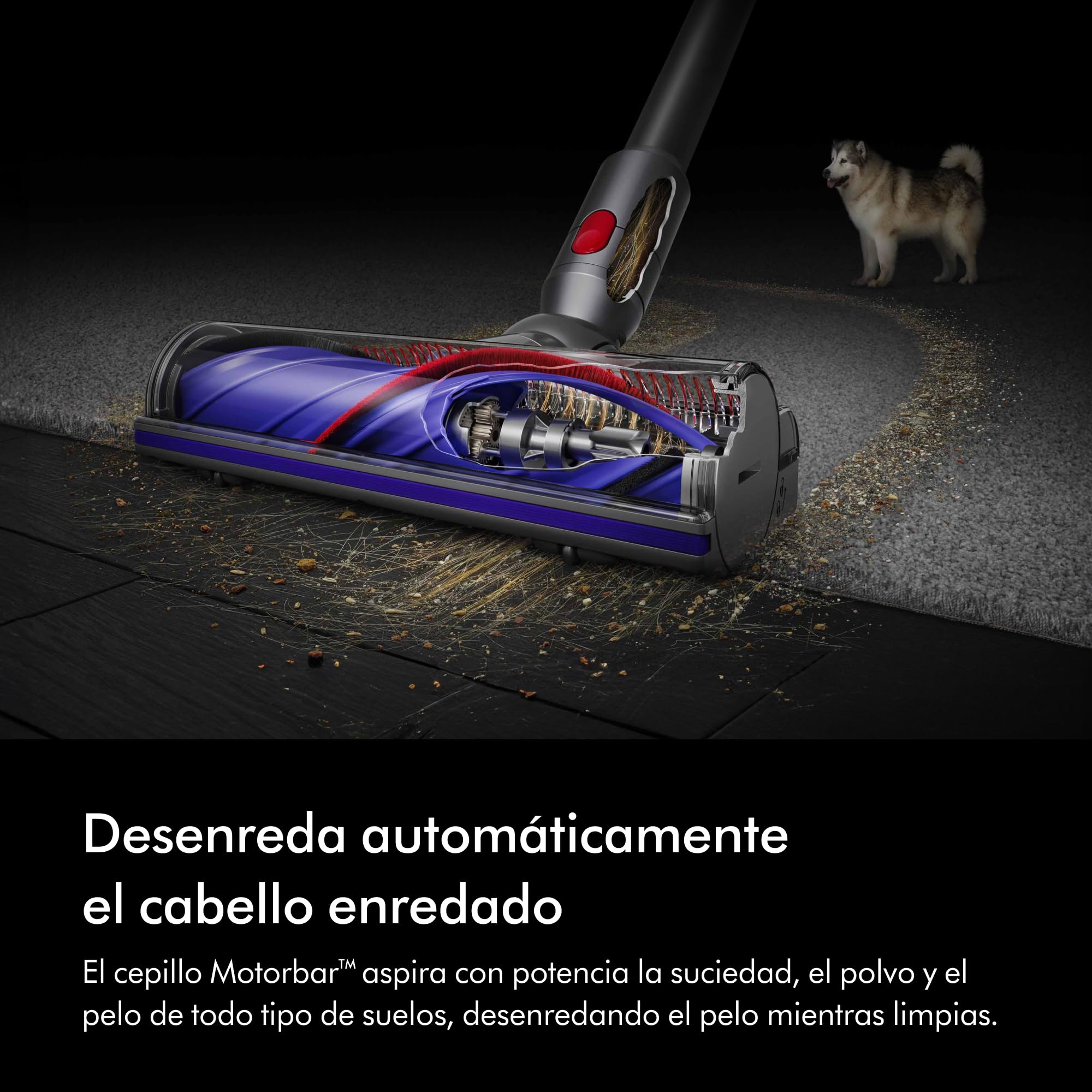Dyson V8 Advanced Aspiradora Sin Cable, 130 AW, hasta 40 min de autonomía, Cepillo Motorbar Anti-enredos, Elimina Pelo de Mascotas, aspiradora de Mano y Suelo