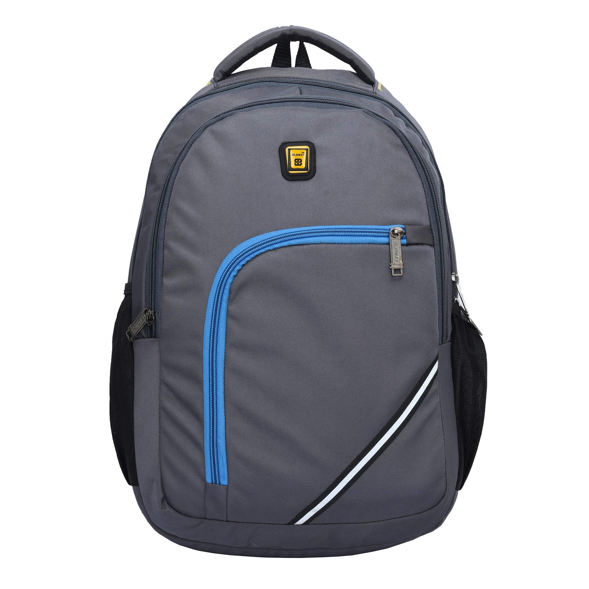 Blowzy Casual Laptop Backpack