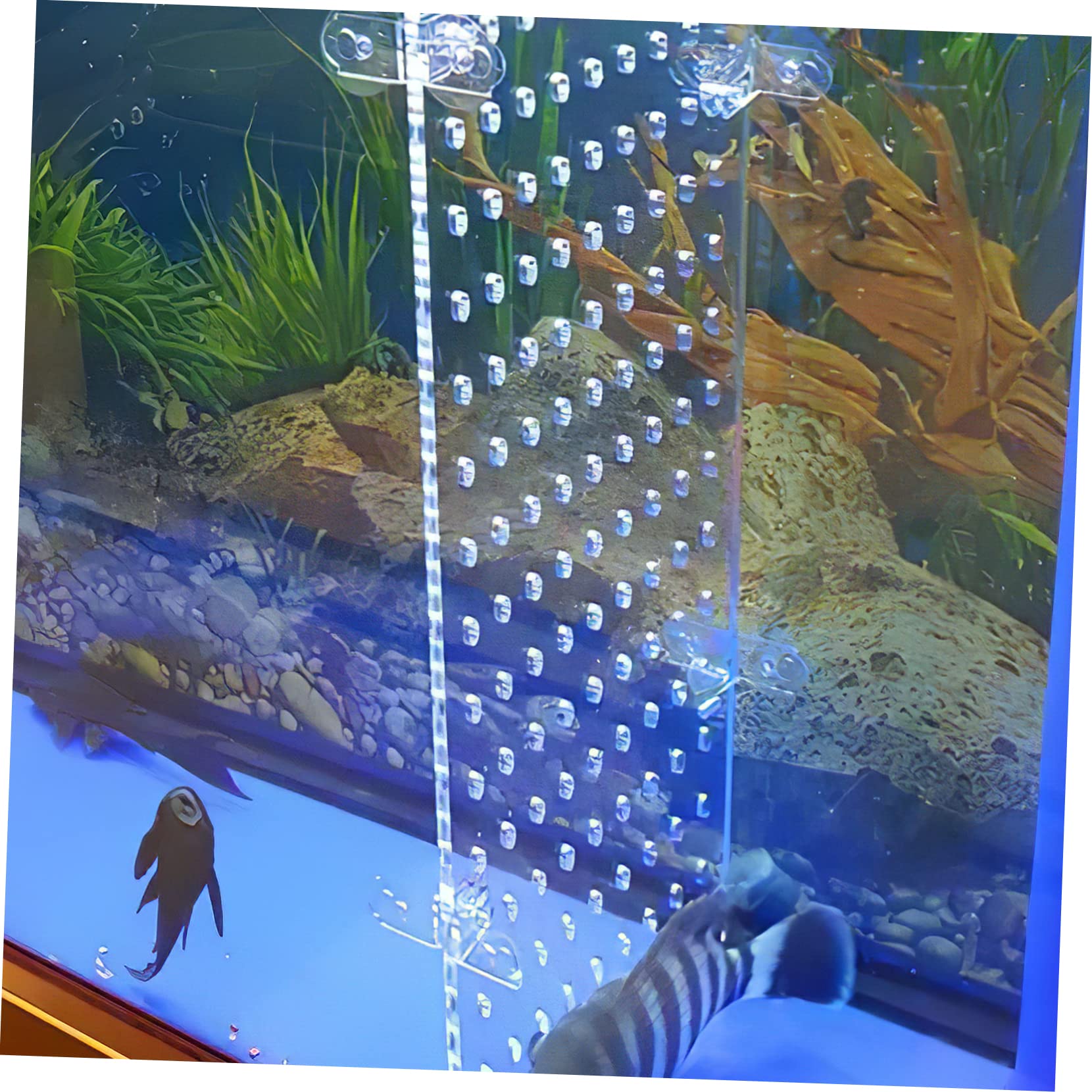 Amazon | 水槽 板 水槽セット 45cm 仕切り板 アクリル アクリル水