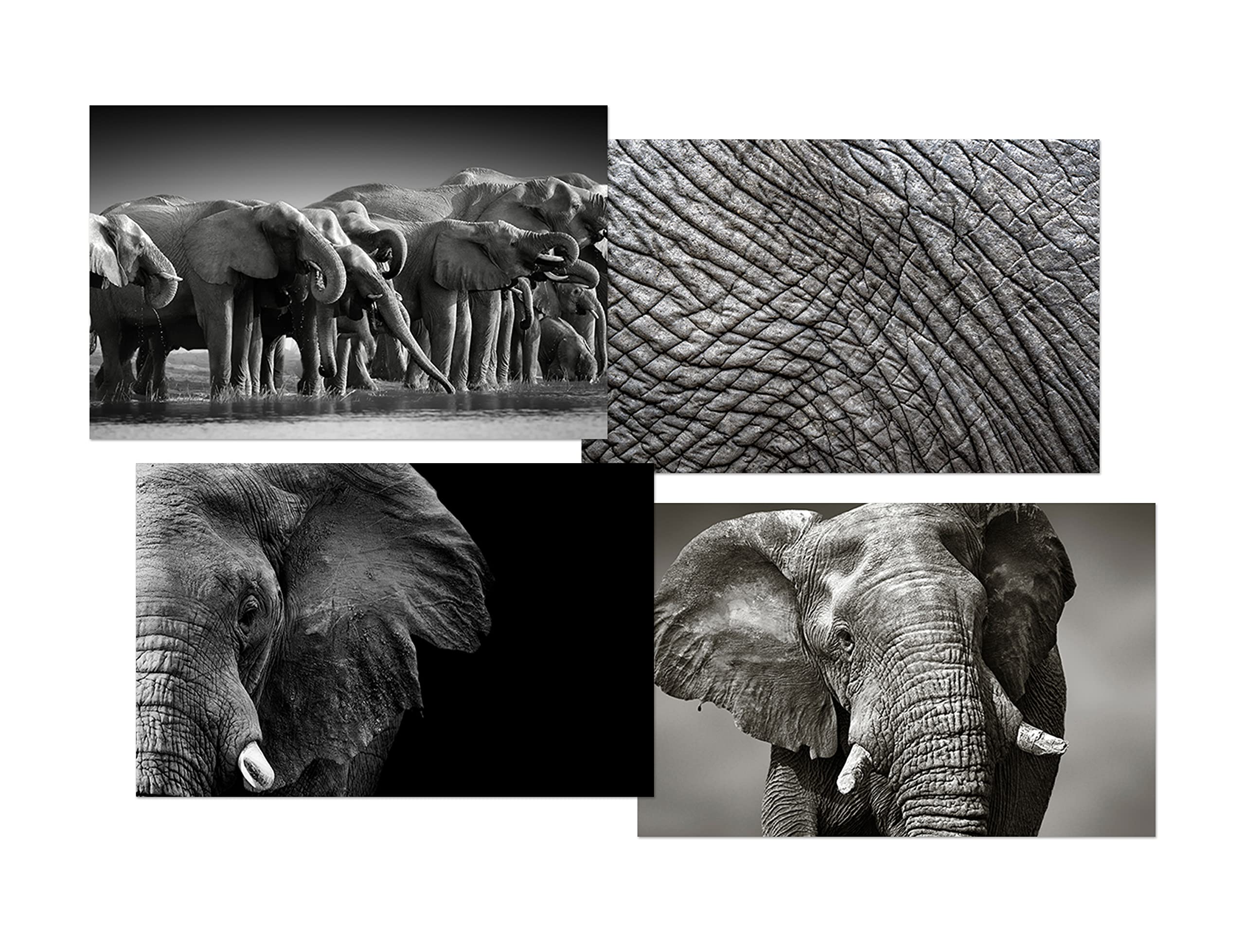 DV DESIGN Set of 4 Elephant Black Ballpoint Pens - Image 2