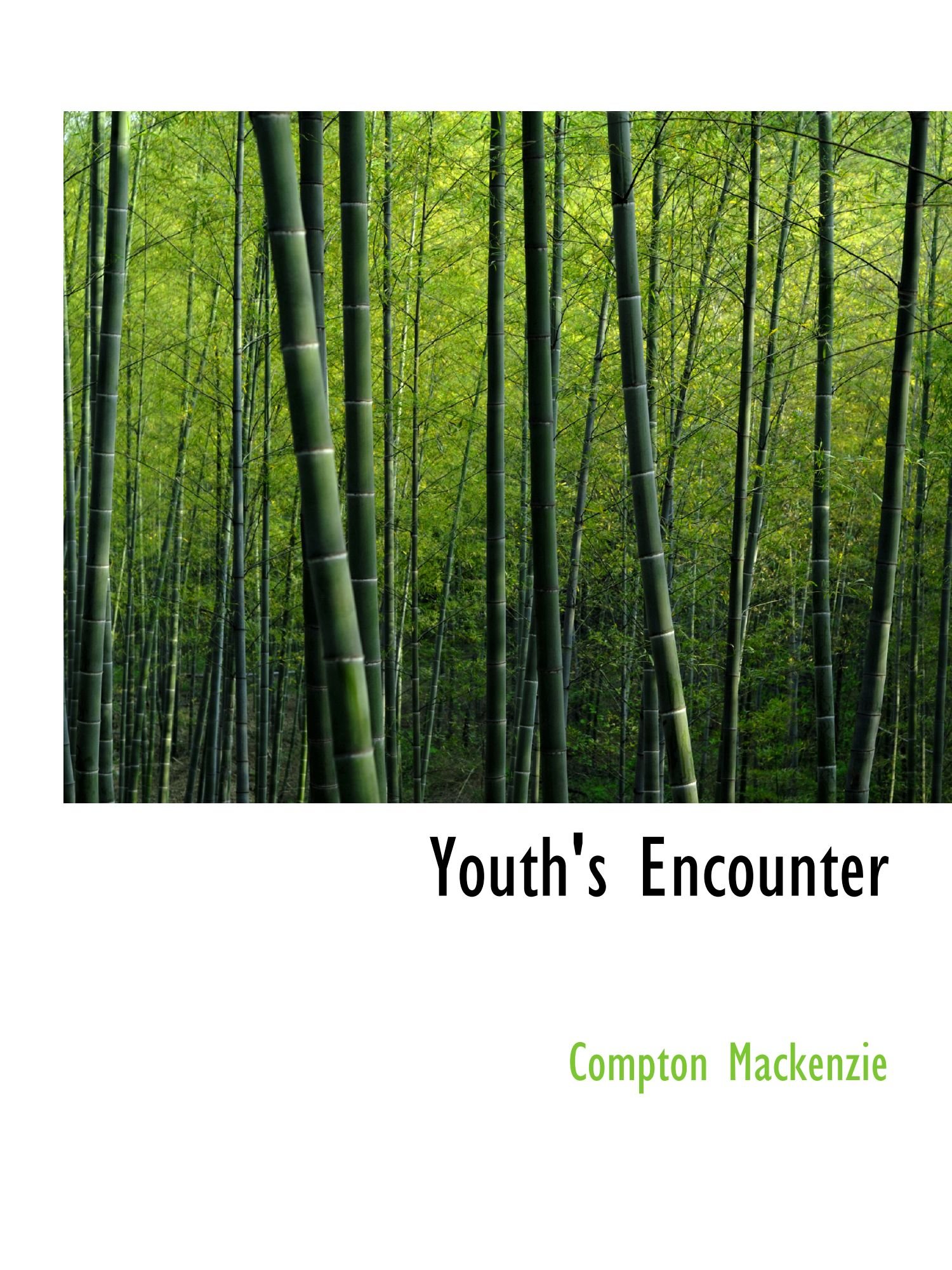 Youth's Encounter