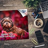 Vista 386 de Razas de Perros 2017