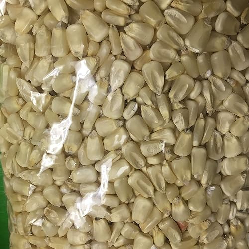 Miniatura 2 de Mahindi - Maíz blanco entero