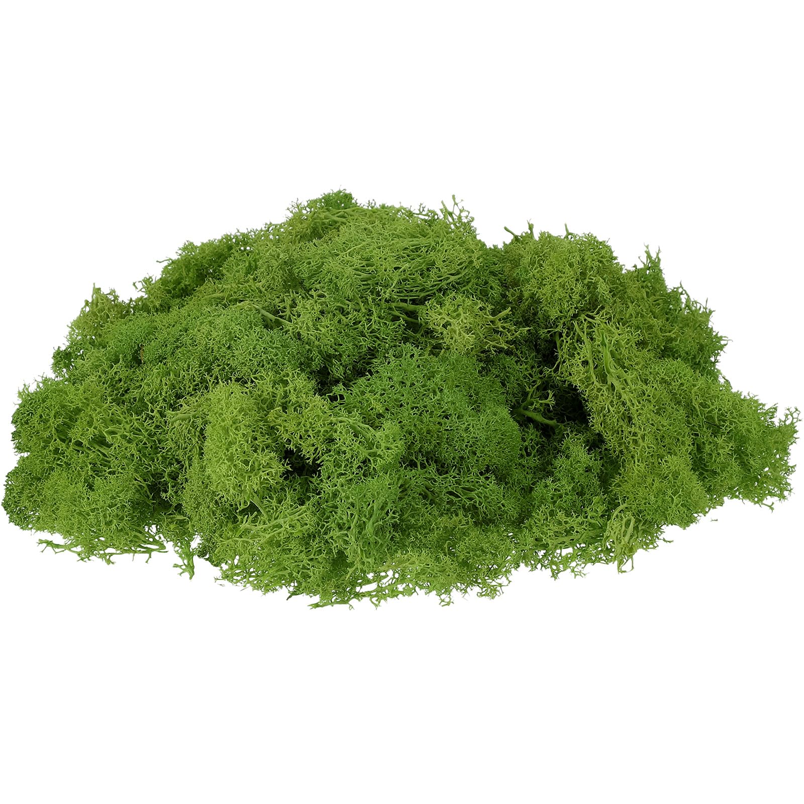 uxcell Preserved Reindeer Moss, 7oz Fake Moss for Crafts Artificial Dried Moss for Decoration Terrariums Potted Plants, Light Green