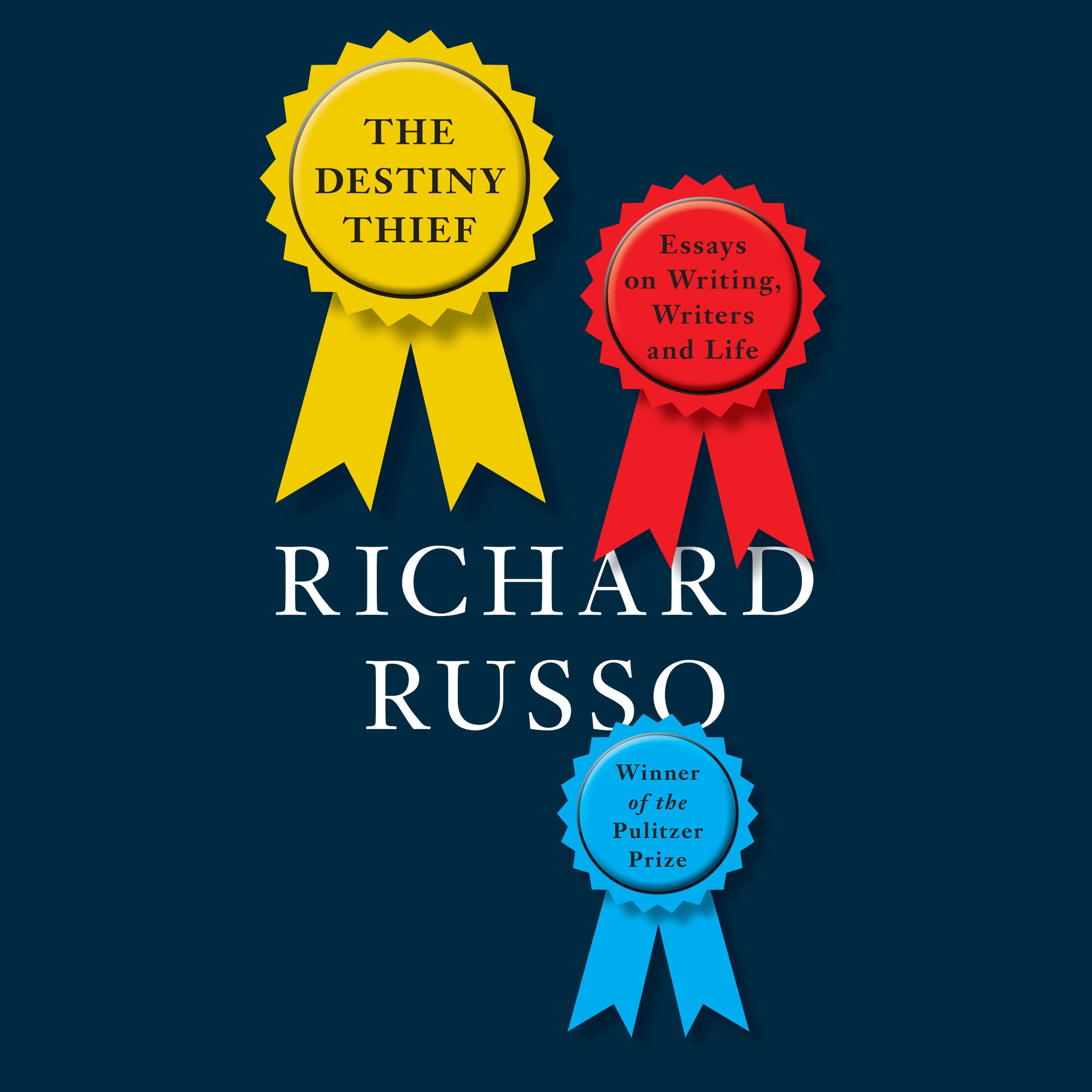 Cover art for The Destiny Thief