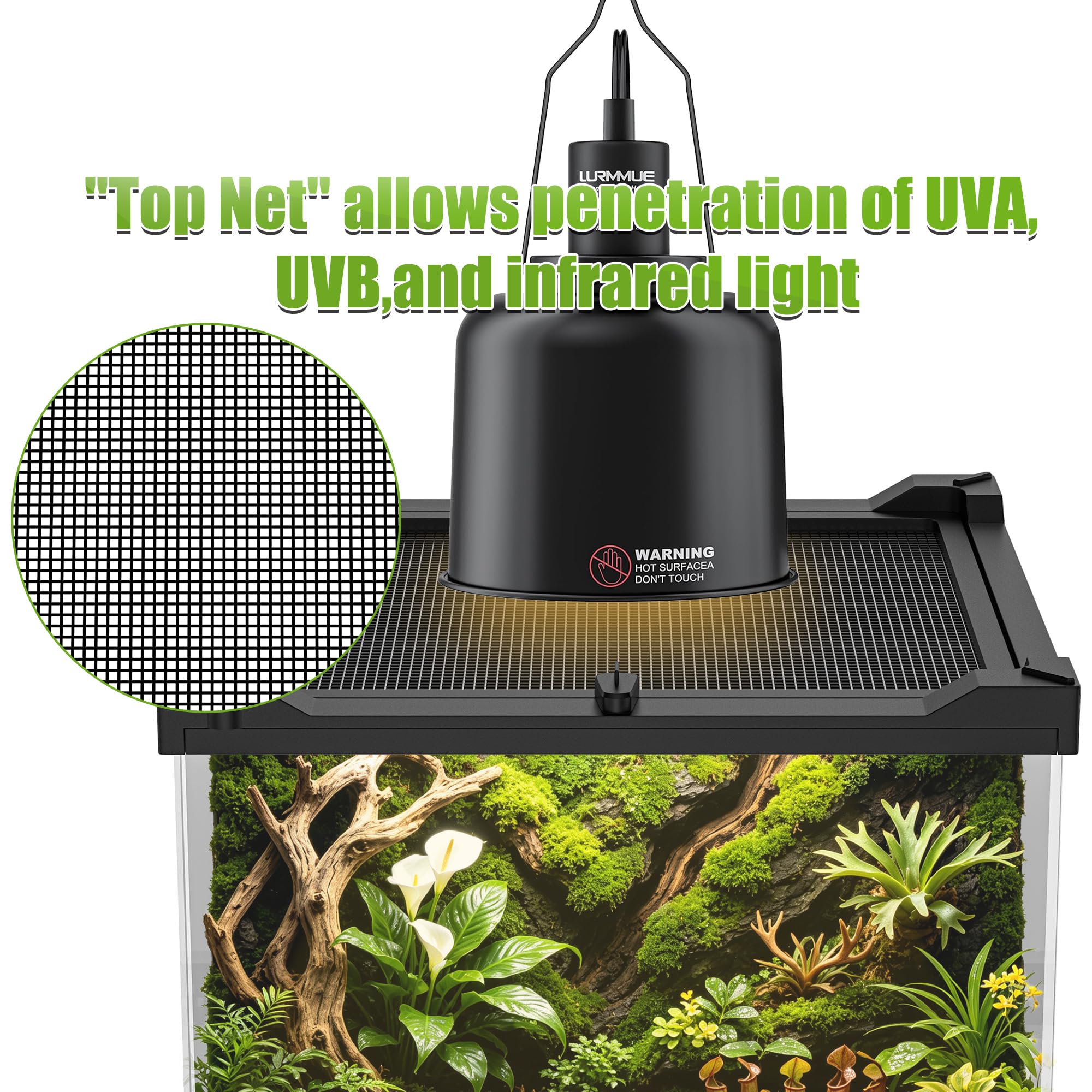 Tanque de terrario de vidrio para reptiles, 8 x 8 x 12 pulgadas, hábitat con visión completa visualmente para lagartos, arañas, serpientes, gecos, tortugas y otros reptiles pequeños