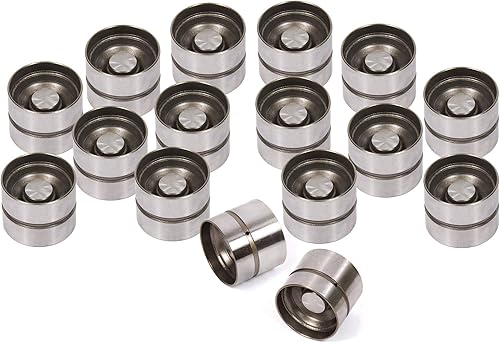 Evergreen LF7012 (16) Elevadores Hidráulicos Compatible con Daewoo Leganza, Isuzu Amigo Rodeo X20SE X22SE