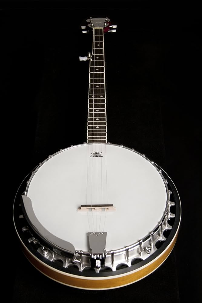 バンジョー washburn B-9 Amazon.co.jp: Washburn B9 Banjo : 楽器・音響機器