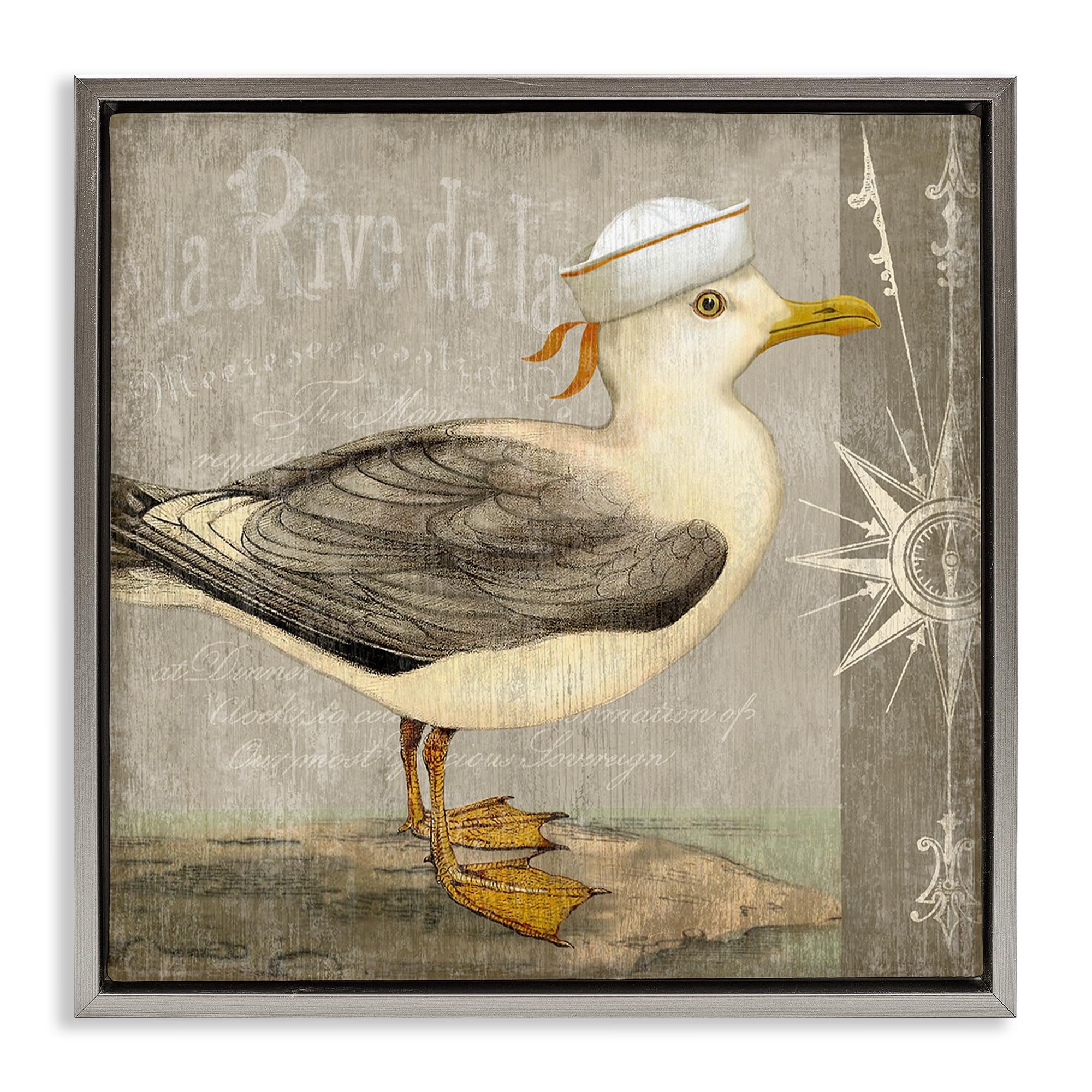 Stupell Industries Luster Gray (Matte) Rustic Seagull Coastal Nautical, 24 X 24 Inch Canvas In Floater Frame