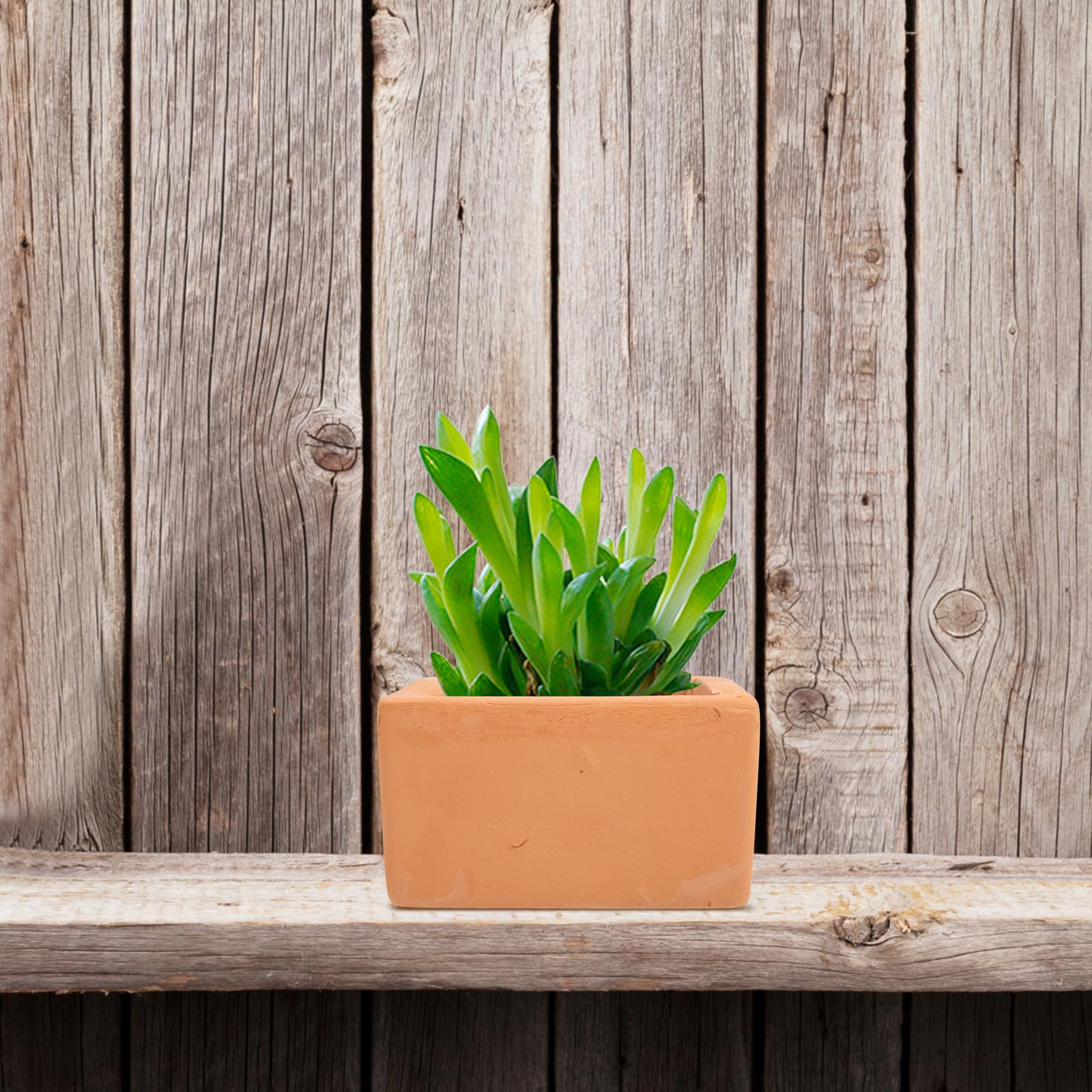 Yardwe 6 Pcs Square Terracotta Flower Pot Ceramic Flower Pot Pots for Outdoor Plants Square Planter Terracotta Pots for Plants Small Flower Pot Bonsai Pot Decorative Flowerpot Flowerpots - Image 3