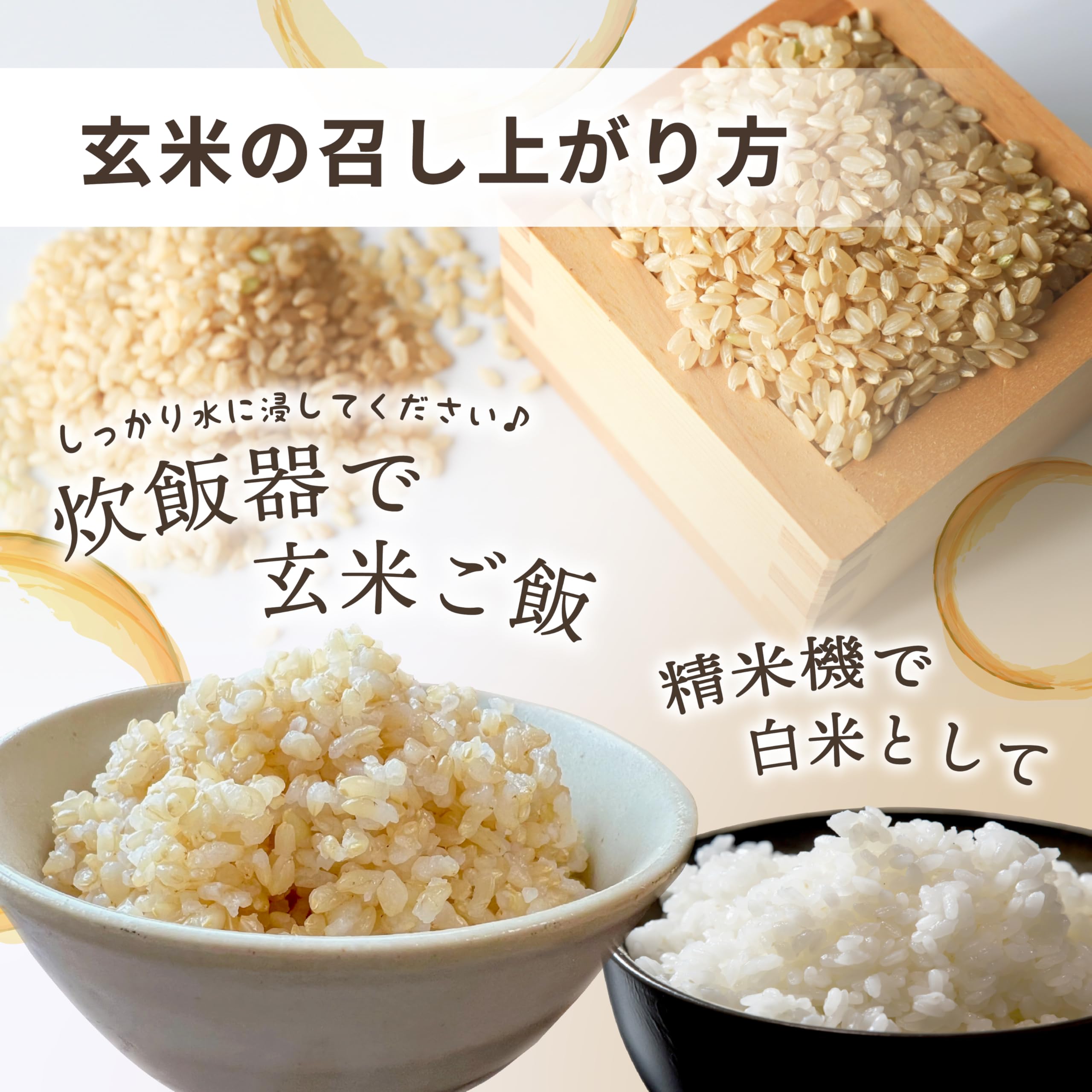 新米 お米 もち米玄米30kg 精米サービス ふわふわお餅のわたぼうし令和 