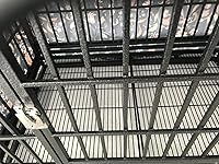 Review Image by Betty Betty