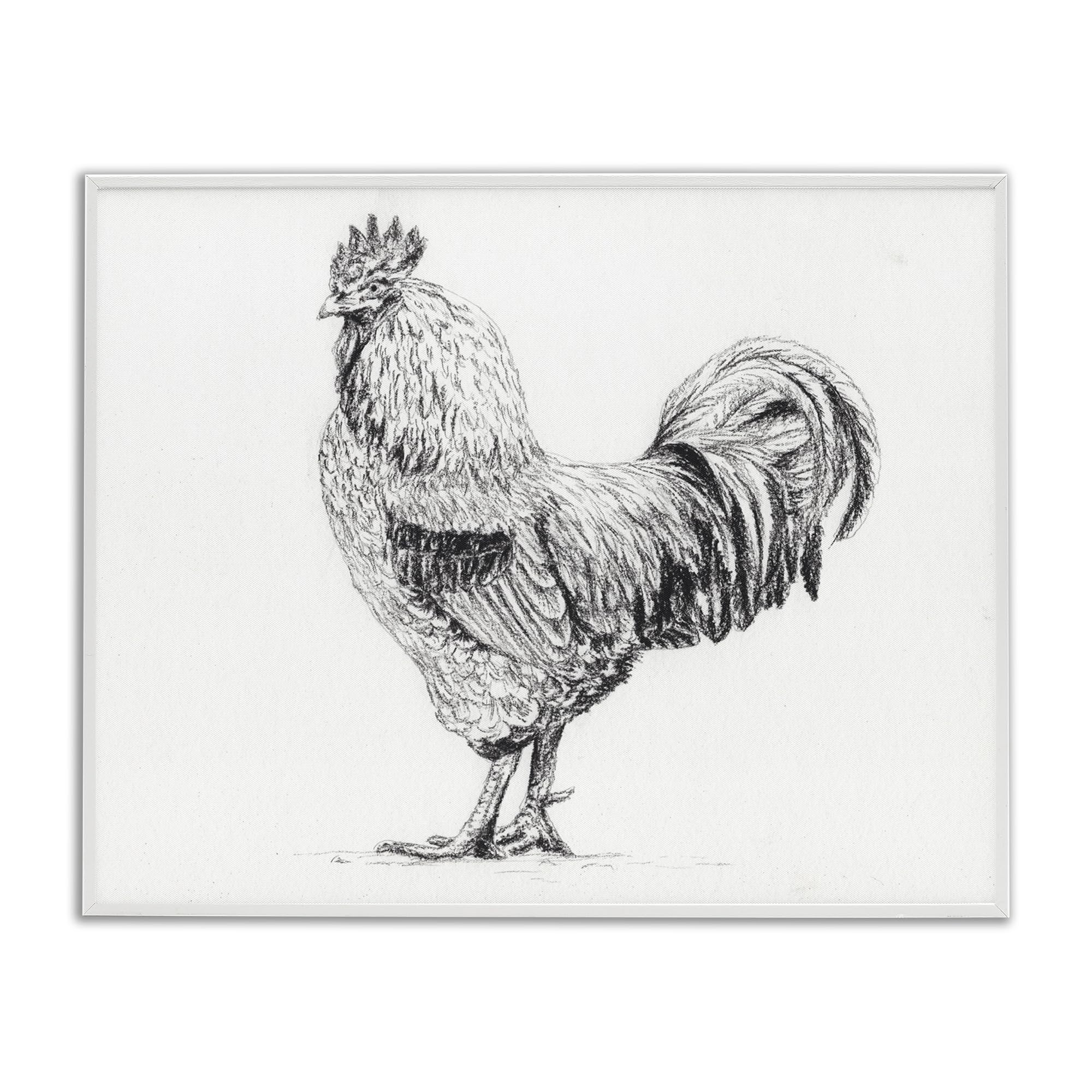 Stupell Industries 'Rooster in Charcoal', Framed Giclee Art, White, 20 x 16 Inches, Easy to Hang and Sturdy, Made in USA, by Leah Noel Art
