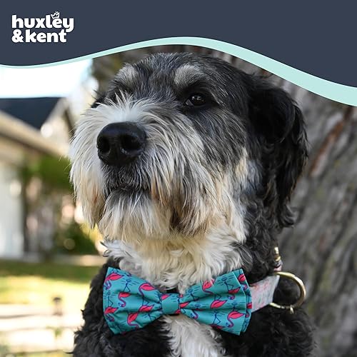 Miniatura 4 de Huxley & Kent Pajarita para mascotas, flamenco (grande)  Accesorio para collar de corbatín para mascotas, divertidos lazos para perros y gatos,
