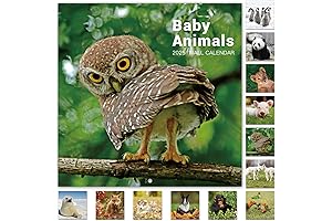 2024 Wall Calendar Featuring Adorable Farm Animals