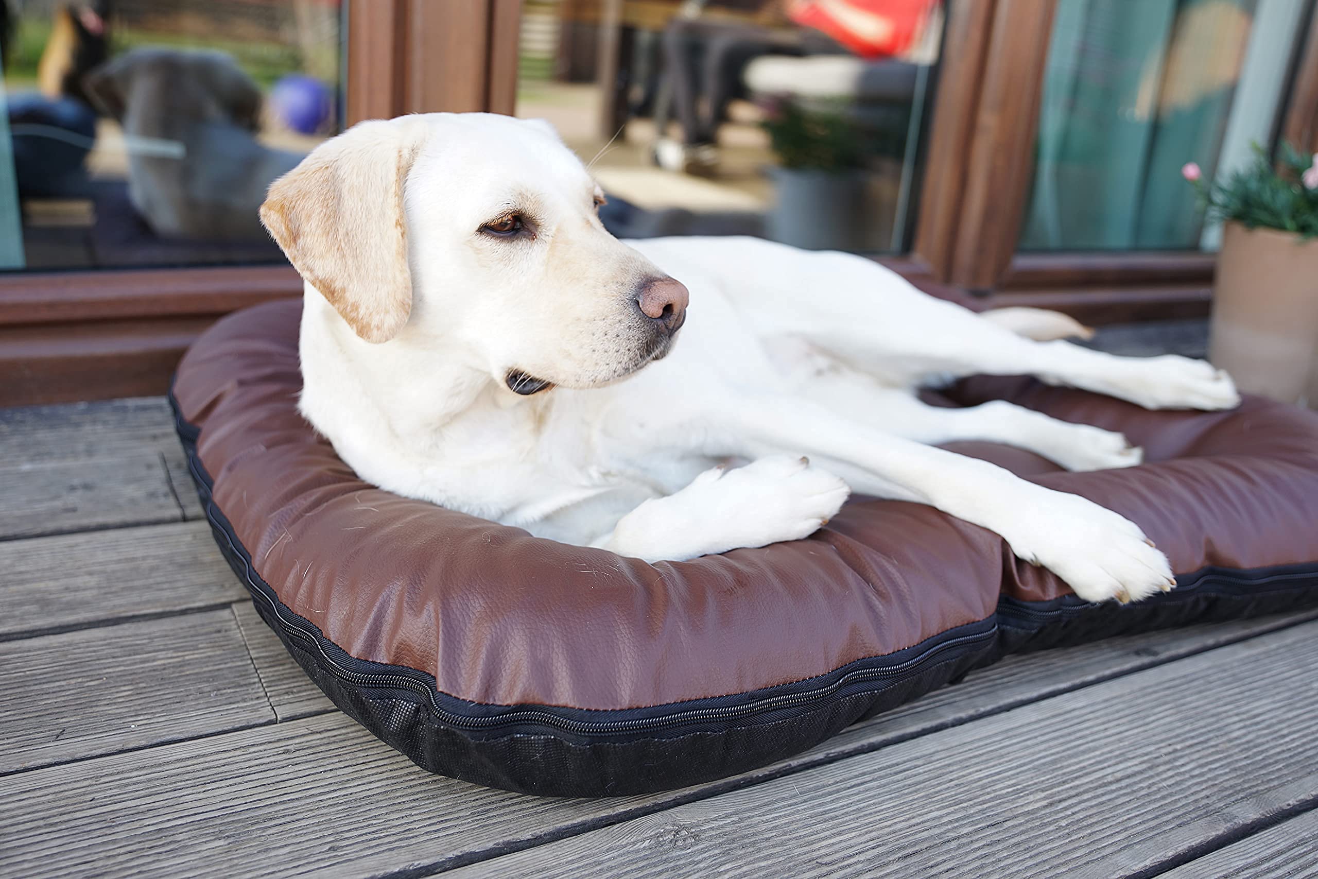4L Textil ELLA Cuccia per Cani in Ecopelle Grande XL - Cuscino, Lettino, Materasso (M - 90x70 cm, Marrone)