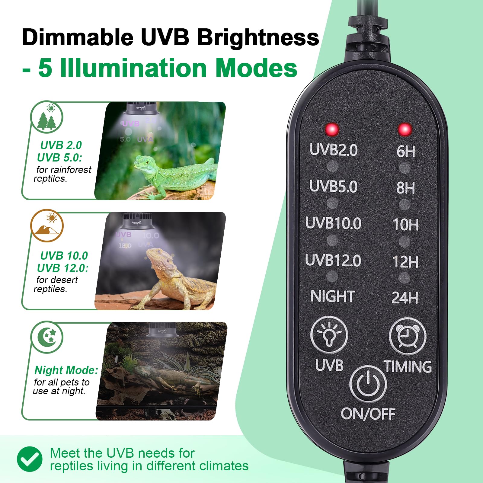 Lampada LED UVB per rettili foresta ＆ deserti 5W dimmerabile UVB con timer | Luminosità regolabile UVB, lampada a LED a risparmio energetico, lampada per rettili e anfibi, tartarughe e barbute
