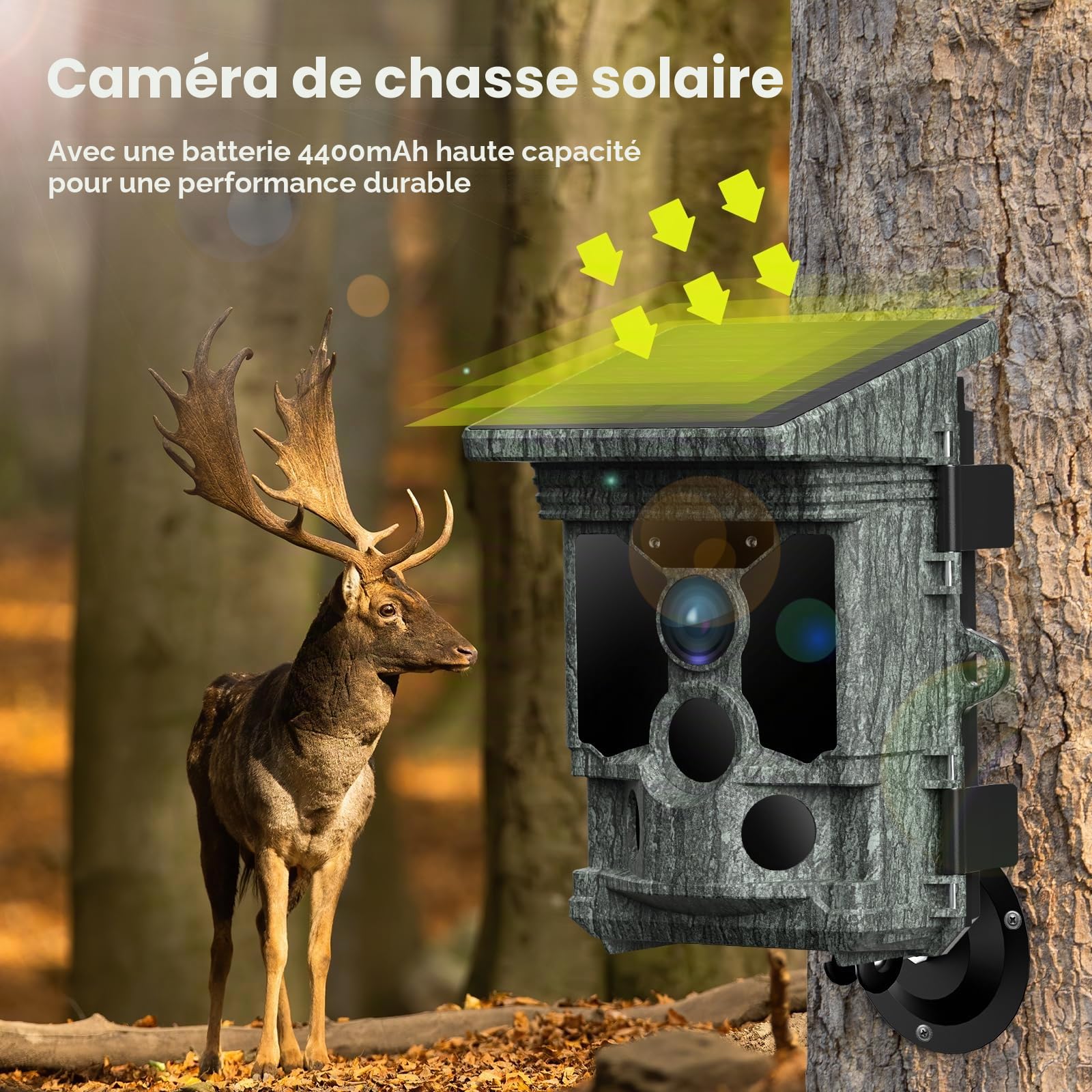 Caméra de Chasse WiFi Solaire 4K 30 i/s 46MP, Bluetooth, App | Déclenchement 0,1 s, détection 120°, vision nocturne 20 m et IP66 pour passages de gibier, agrainoirs et observation