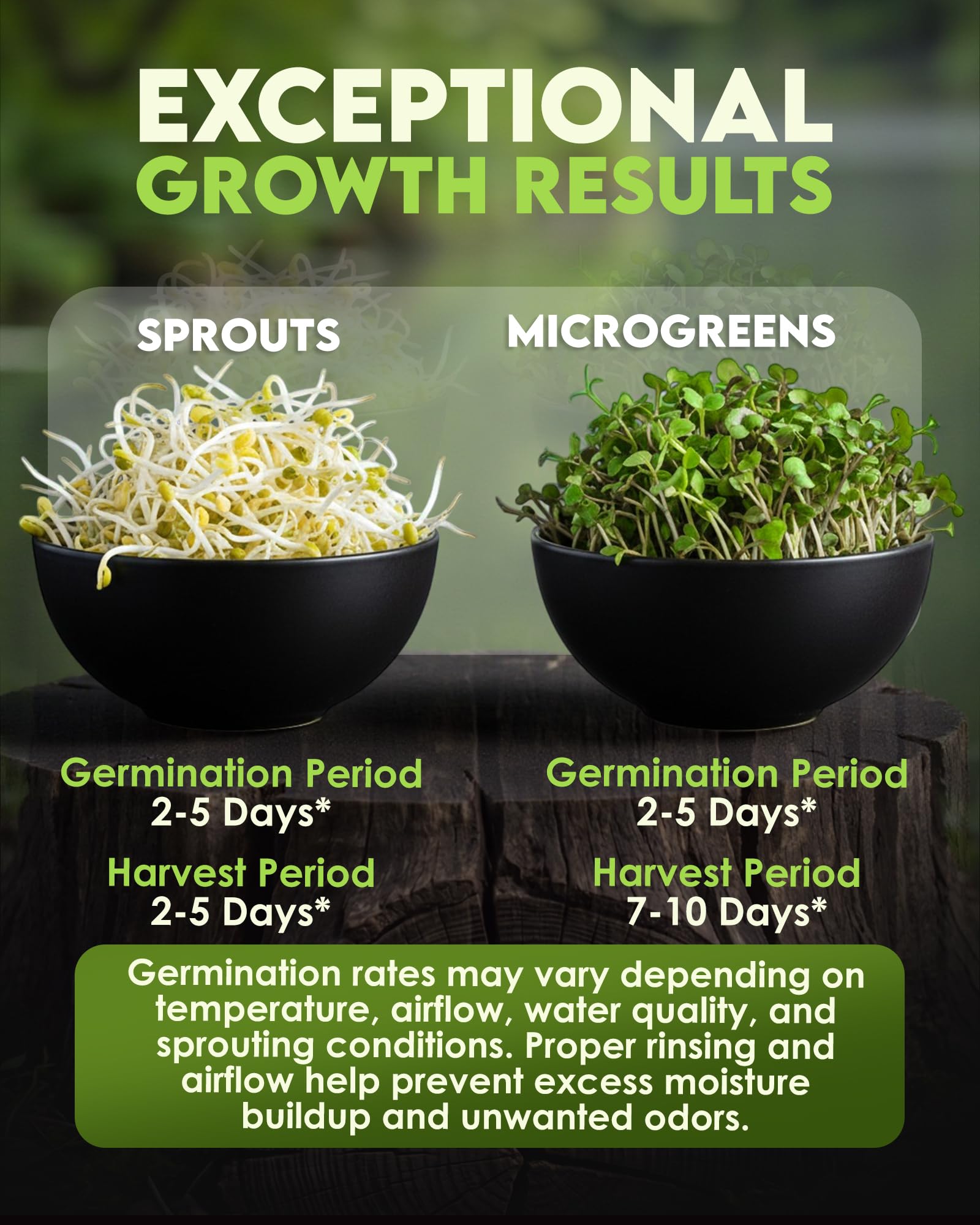 Grow Your Own Microgreens - Broccoli, Alfalfa Mix -5