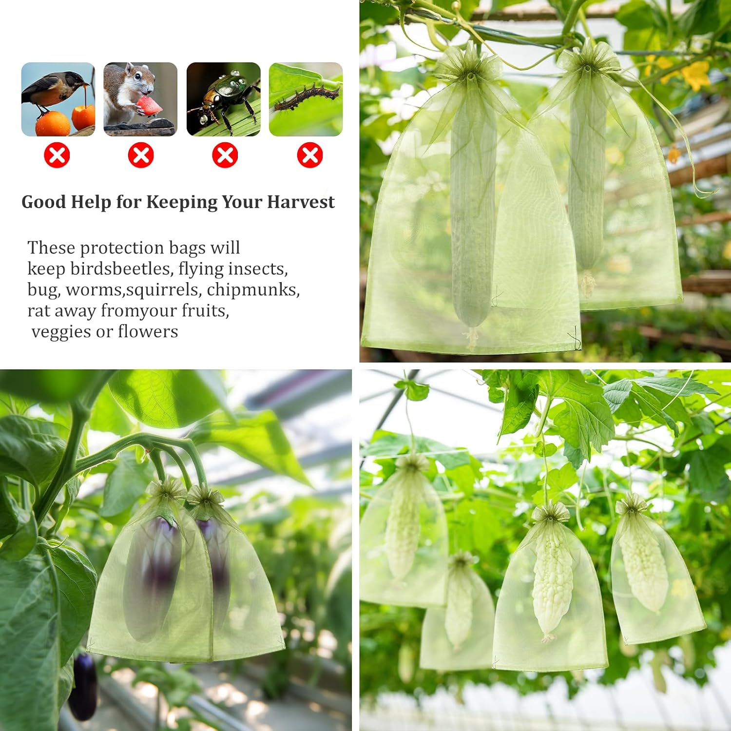 50 PCS 8X12 inches Fruit Protection Bags, Fruit Bags for Fruit Trees | Green Netting Fruit Cover Bags Drawstring Mesh Fruit Protectors thumbnail