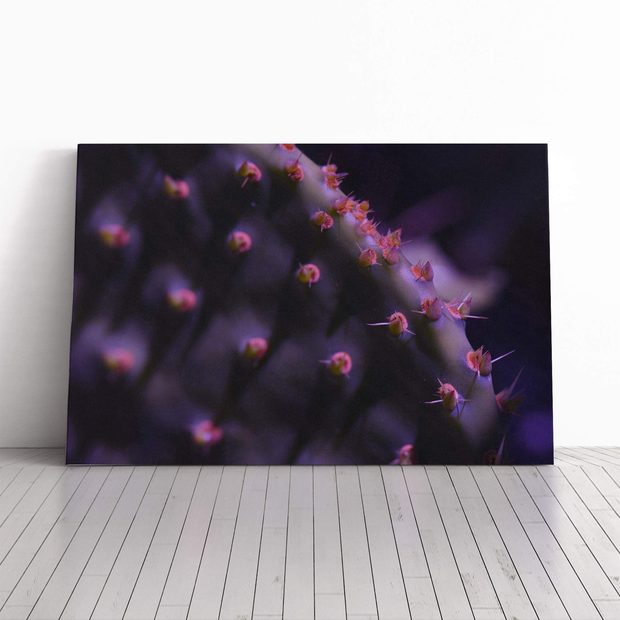 Flower Cacti Cactus (4) Canvas Print | Gallery Wrapped 30mm Frame Wall Art | 24x16 inches | Ready to Hang | Modern Floral Picture | Living Room Bedroom Lounge Office