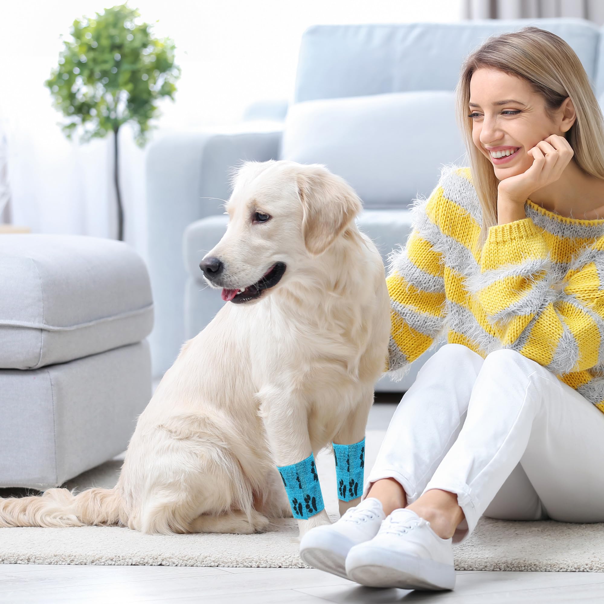 LCXCXY Vendas Autoadhesivas, Venda Cohesiva para Mascotas, 12 Rollos de 5CMX4.5M Venda Cohesiva, Venda Elastica Adhesiva para Gatos, Perros, Caballos y Otros Animales, Venda Autoadhesiva Veterinaria